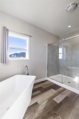 30855 Trent Drive Buena Vista CO 81211