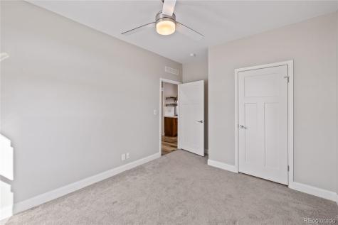 30855 Trent Drive Buena Vista CO 81211