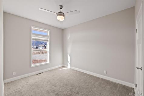 30855 Trent Drive Buena Vista CO 81211