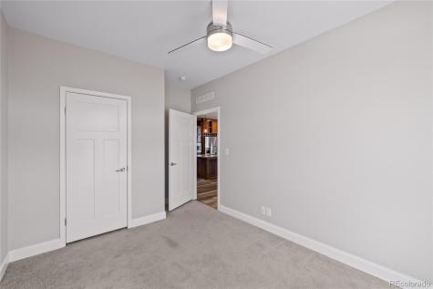 30855 Trent Drive Buena Vista CO 81211