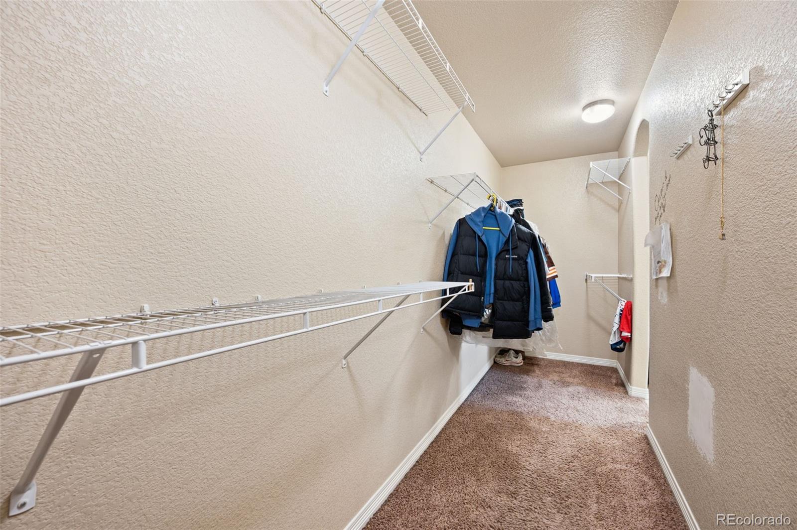 6302 Bearcat Loop Colorado Springs CO 80925