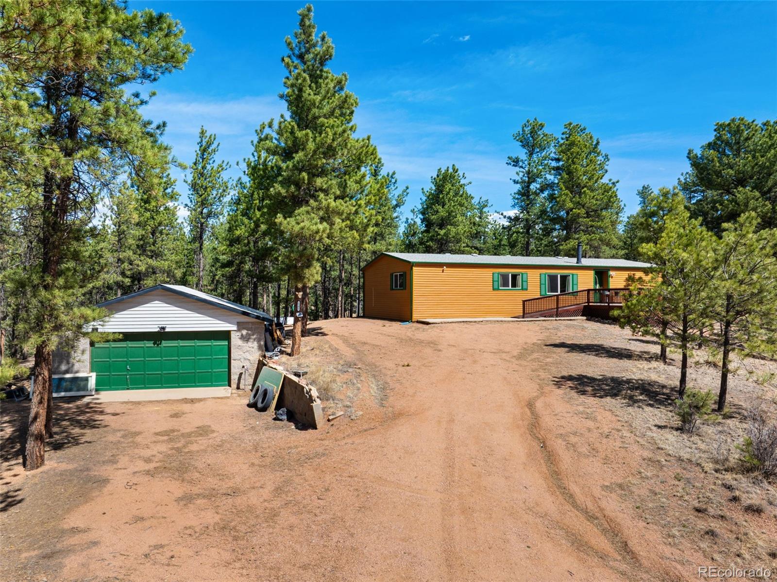 1299 Pikes Peak Drive Florissant CO 80816