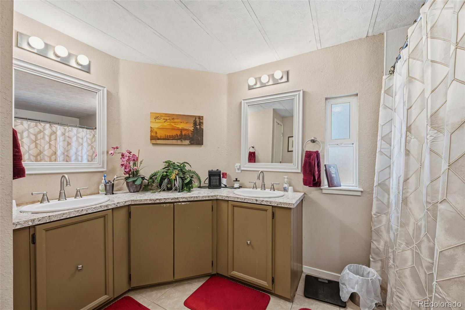 1299 Pikes Peak Drive Florissant CO 80816