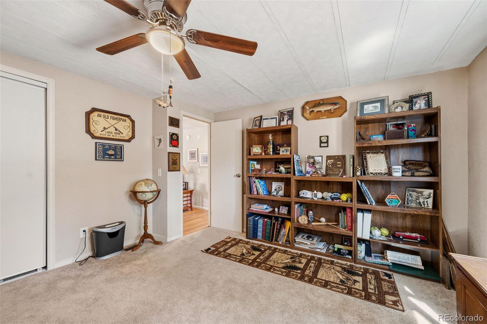 1299 Pikes Peak Drive Florissant CO 80816