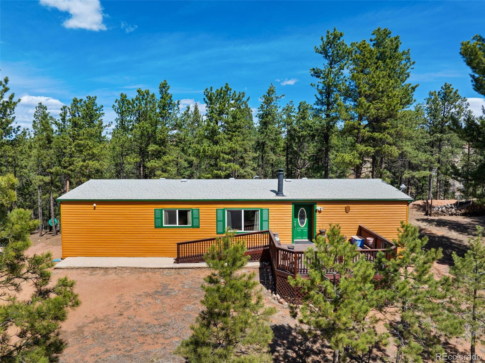1299 Pikes Peak Drive Florissant CO 80816