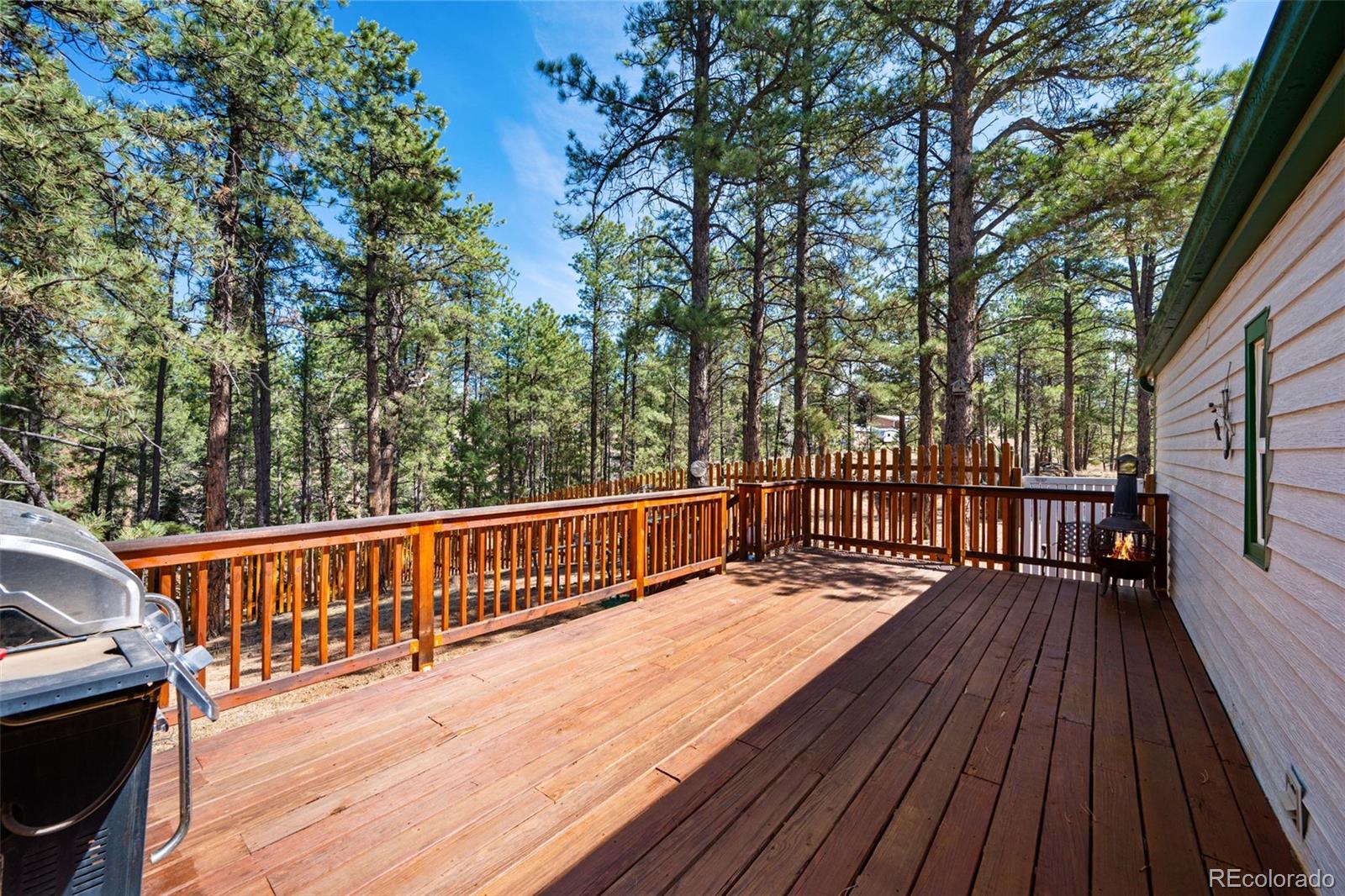 1299 Pikes Peak Drive Florissant CO 80816
