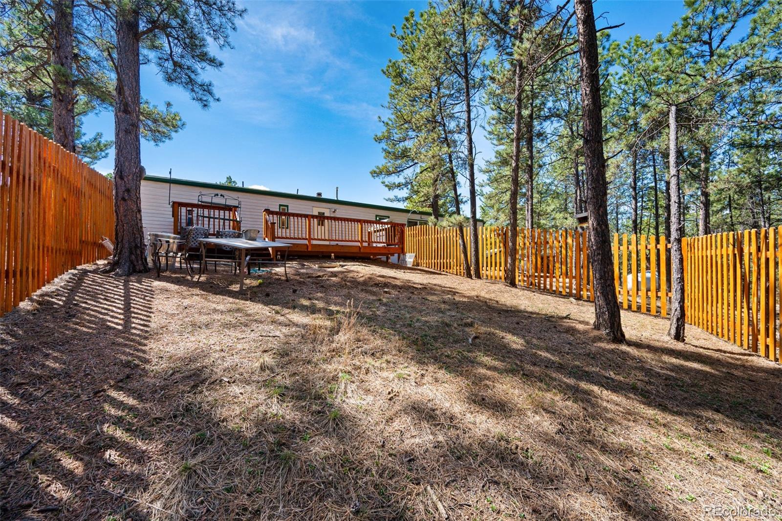 1299 Pikes Peak Drive Florissant CO 80816