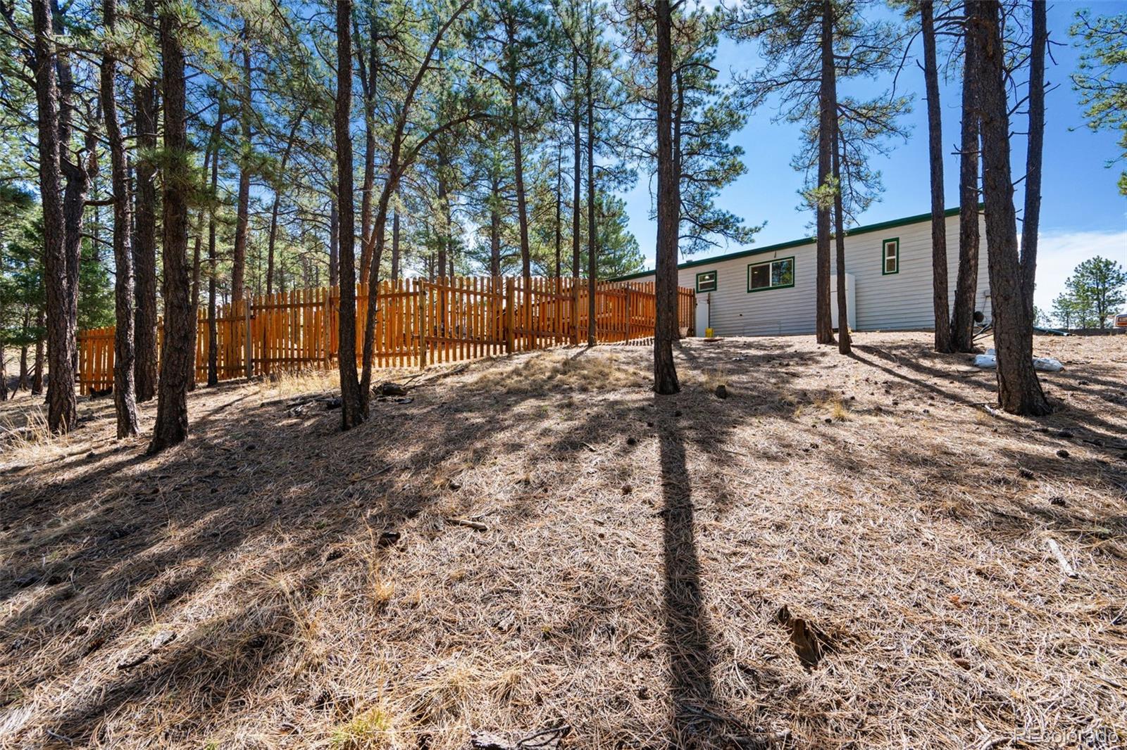1299 Pikes Peak Drive Florissant CO 80816