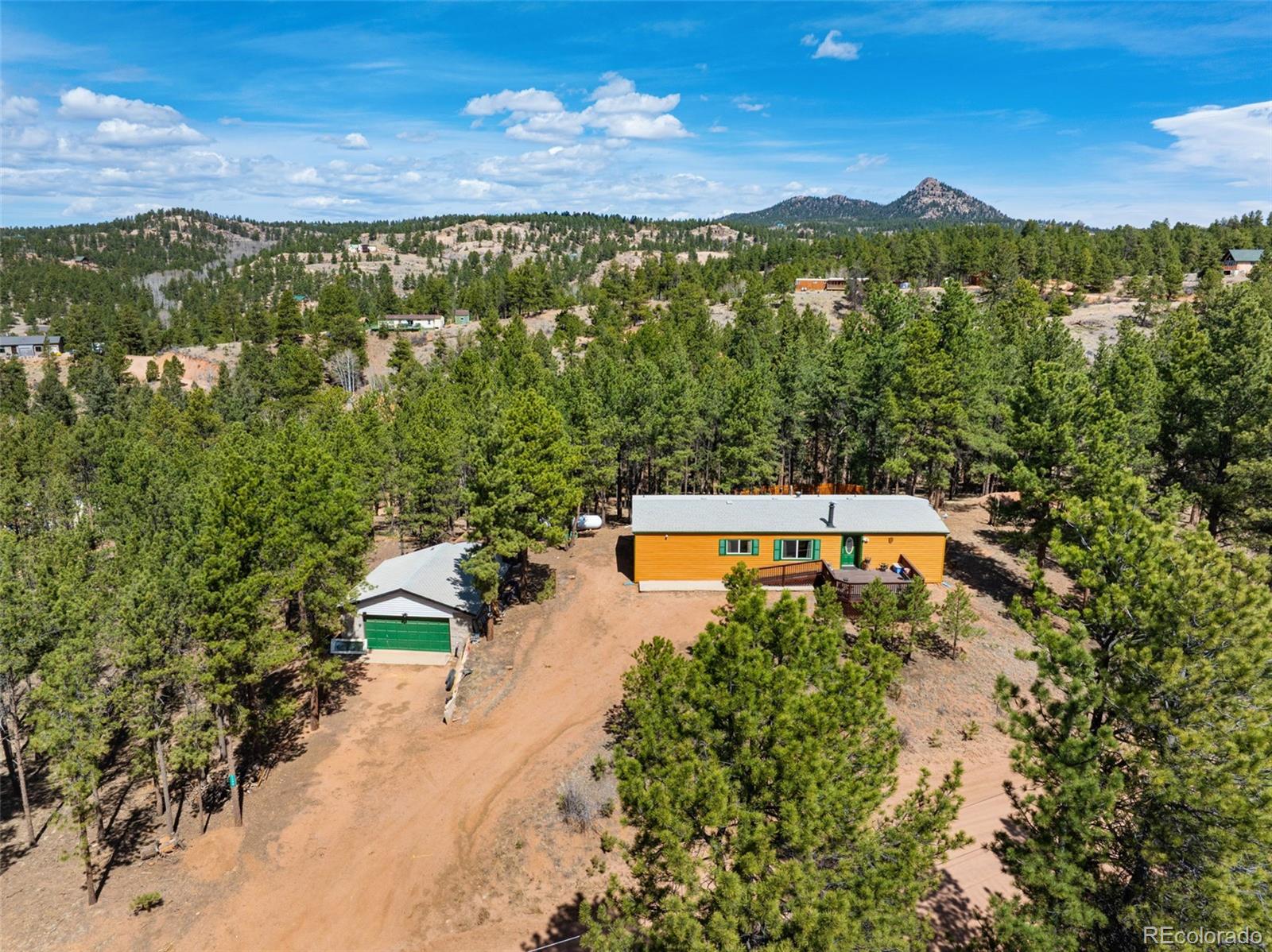 1299 Pikes Peak Drive Florissant CO 80816
