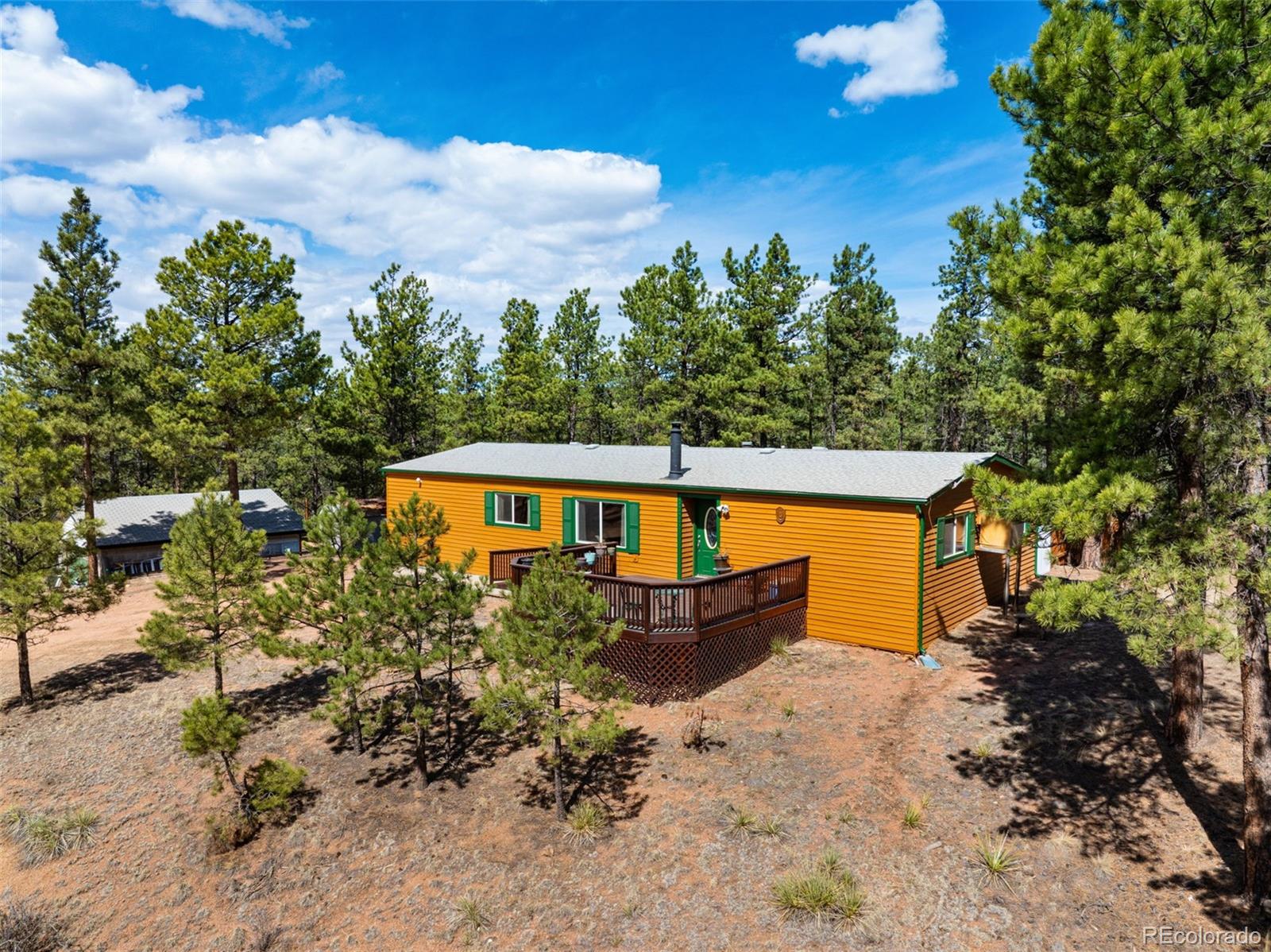 1299 Pikes Peak Drive Florissant CO 80816