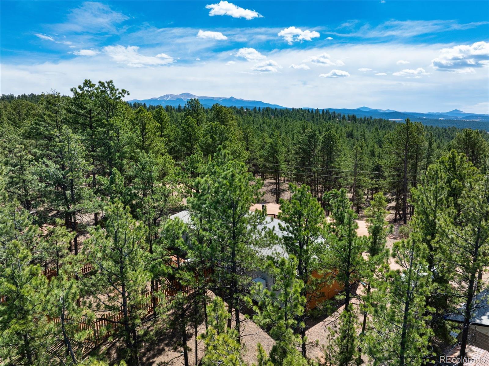1299 Pikes Peak Drive Florissant CO 80816