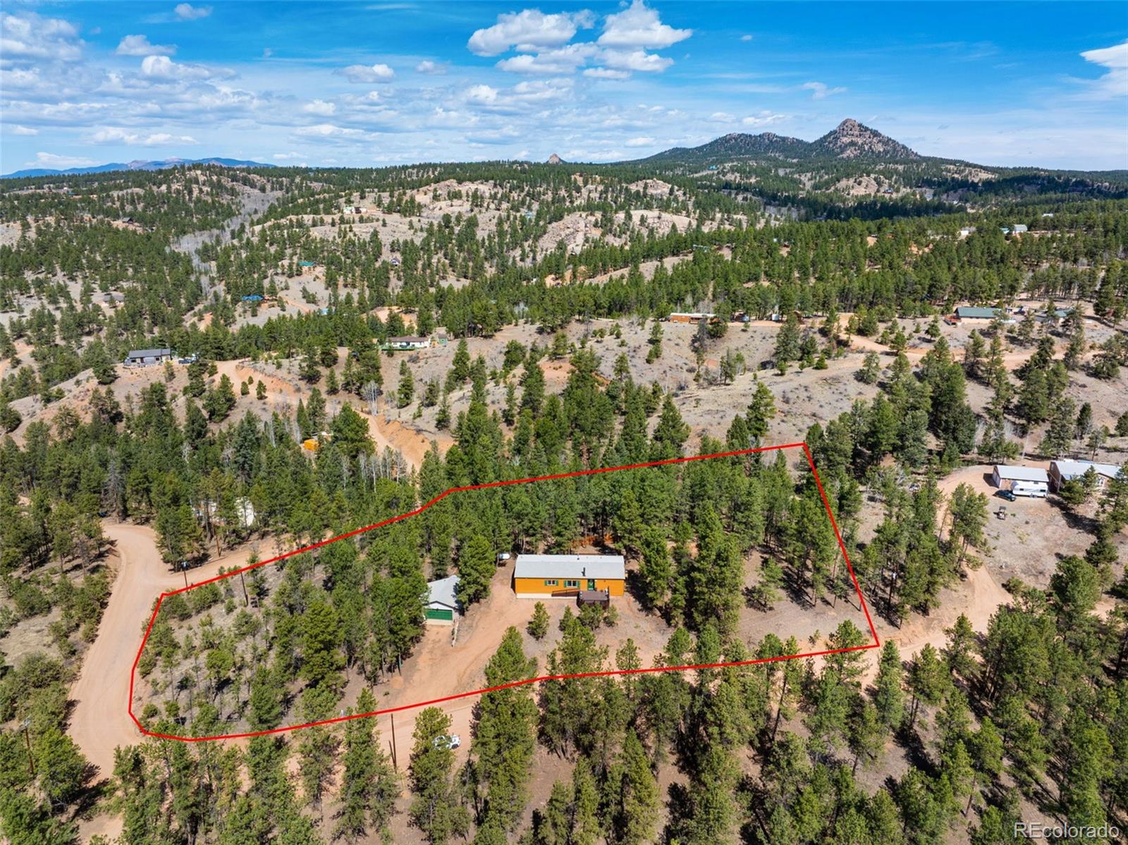 1299 Pikes Peak Drive Florissant CO 80816