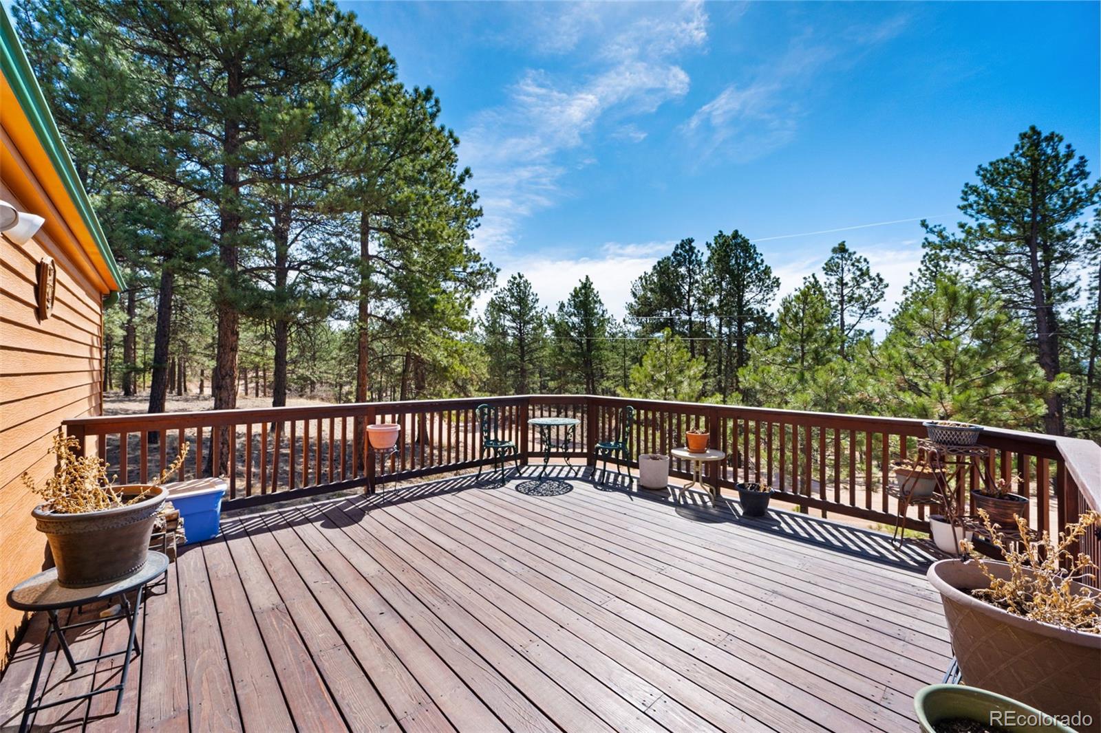 1299 Pikes Peak Drive Florissant CO 80816