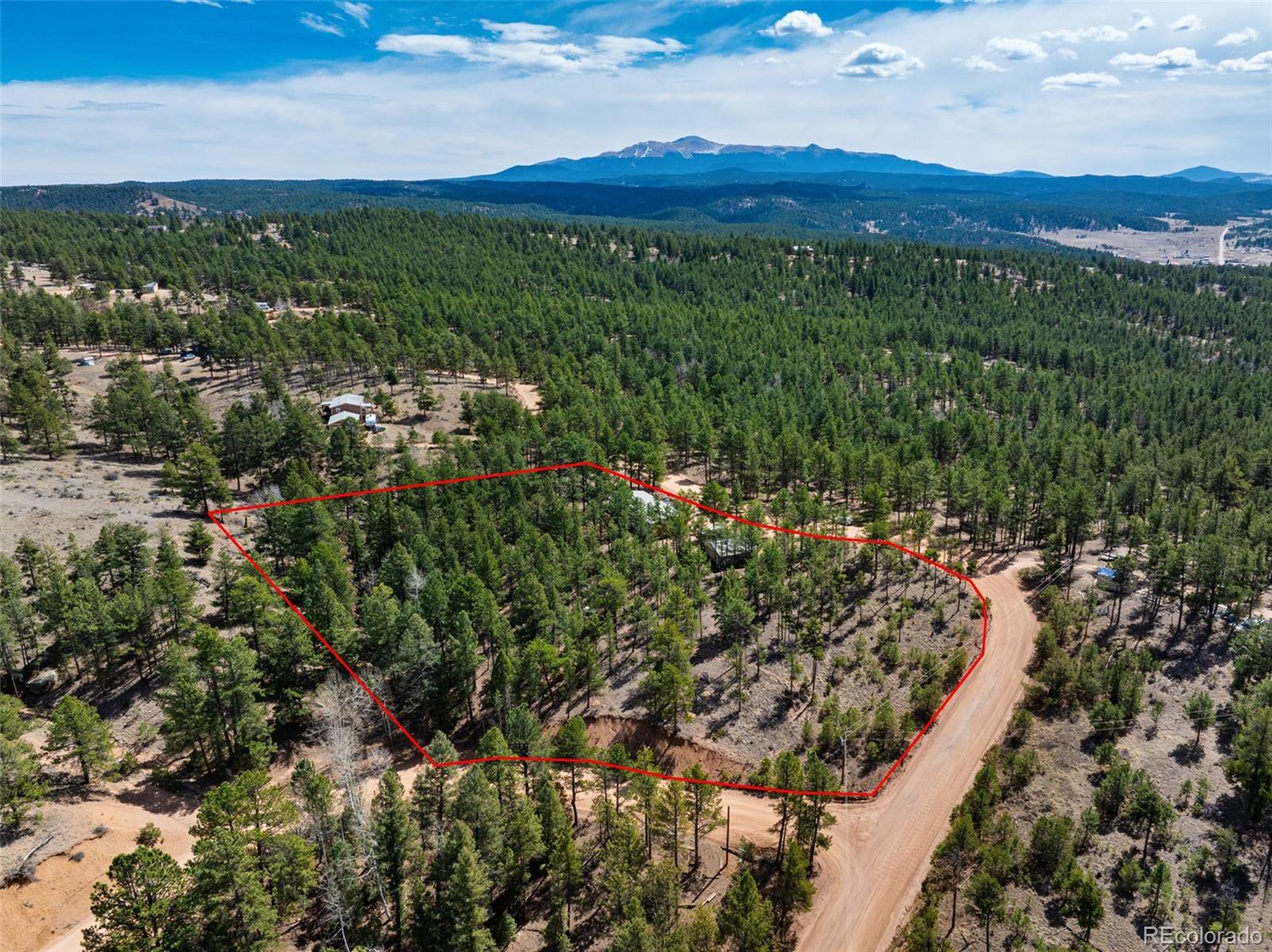 1299 Pikes Peak Drive Florissant CO 80816
