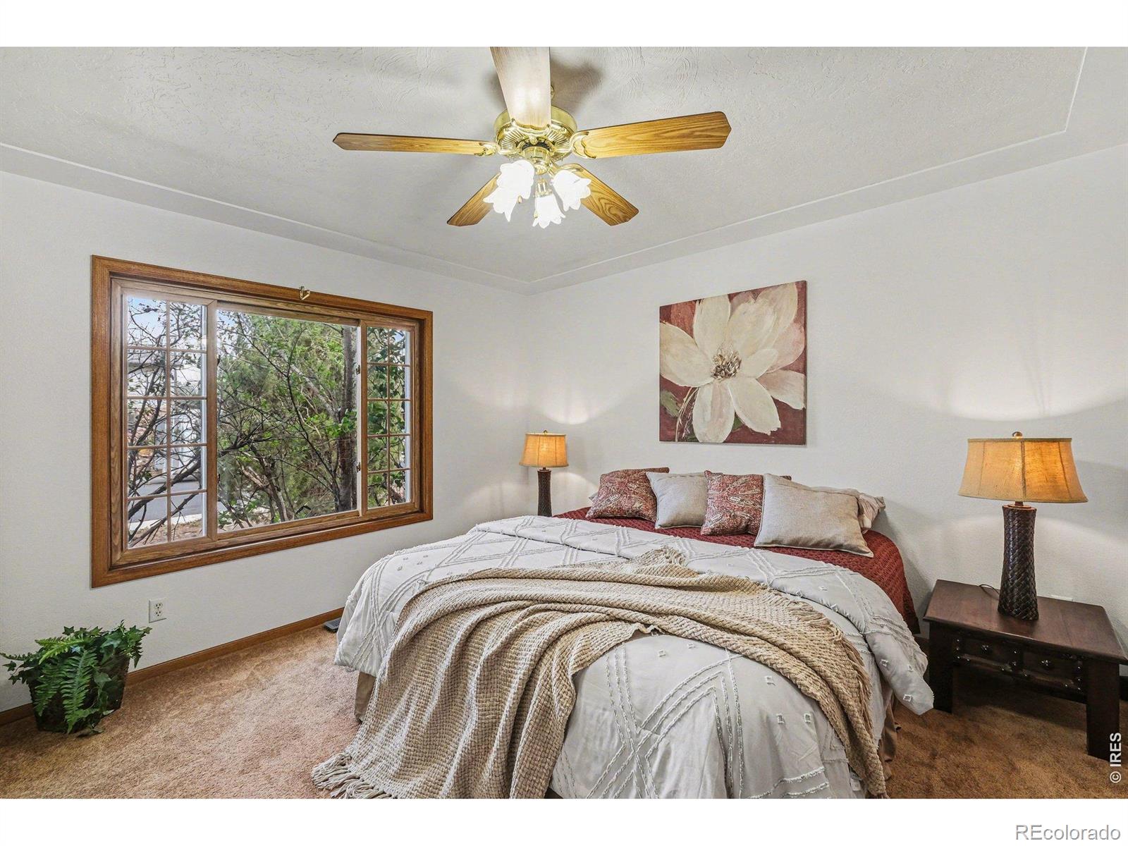 635 Ash Avenue Ault CO 80610