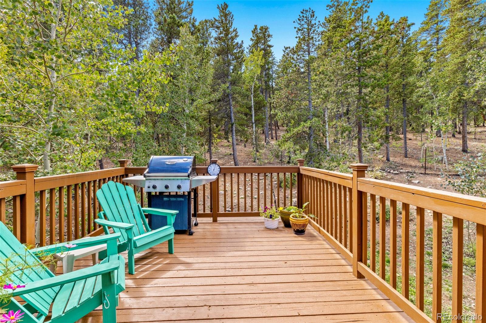 798 S Dory Lakes Drive Black Hawk CO 80422