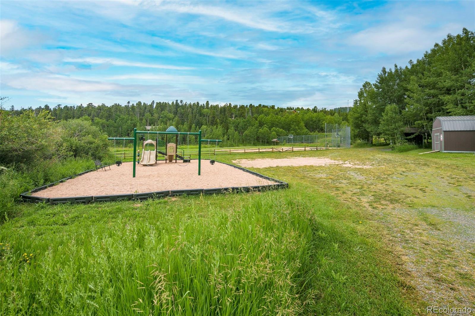 798 S Dory Lakes Drive Black Hawk CO 80422