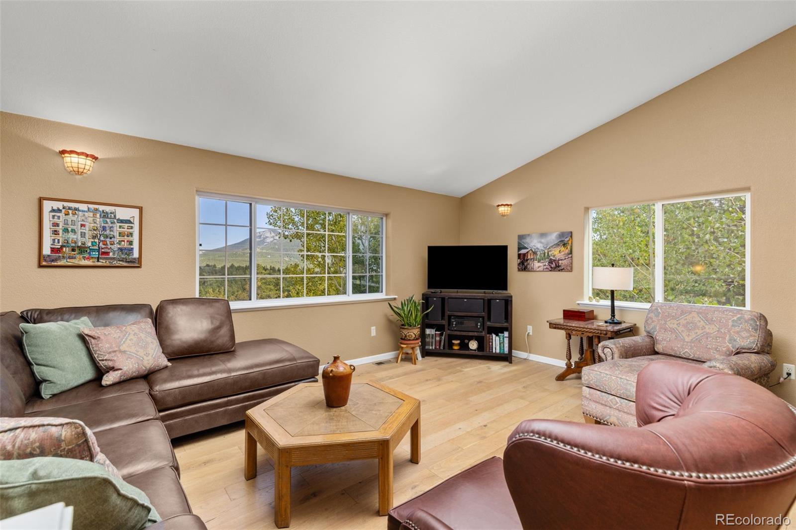 798 S Dory Lakes Drive Black Hawk CO 80422
