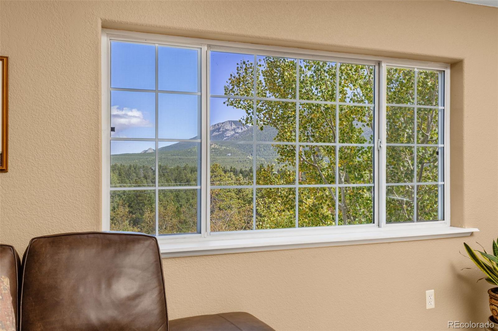 798 S Dory Lakes Drive Black Hawk CO 80422