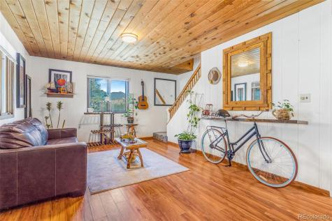 145 Bailey Drive Bailey CO 80421