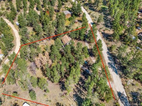 145 Bailey Drive Bailey CO 80421