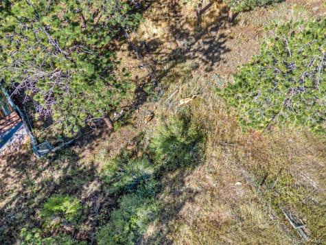 145 Bailey Drive Bailey CO 80421