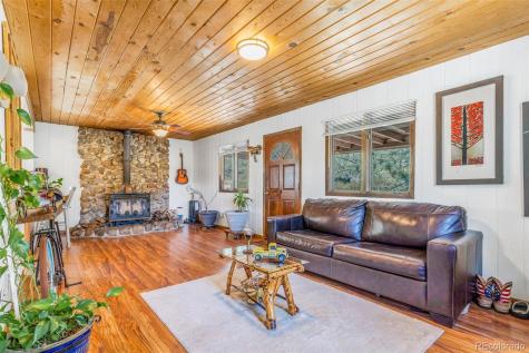 145 Bailey Drive Bailey CO 80421