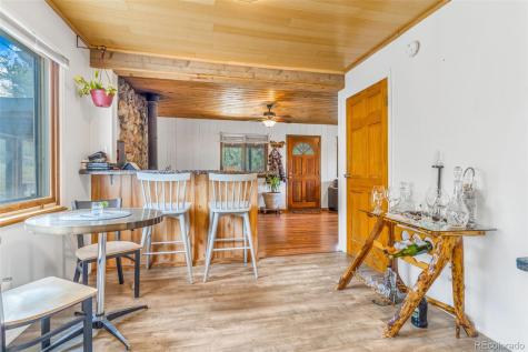 145 Bailey Drive Bailey CO 80421