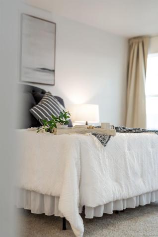 9185 Meccano Point Colorado Springs CO 80924