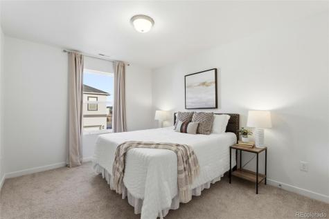 9185 Meccano Point Colorado Springs CO 80924