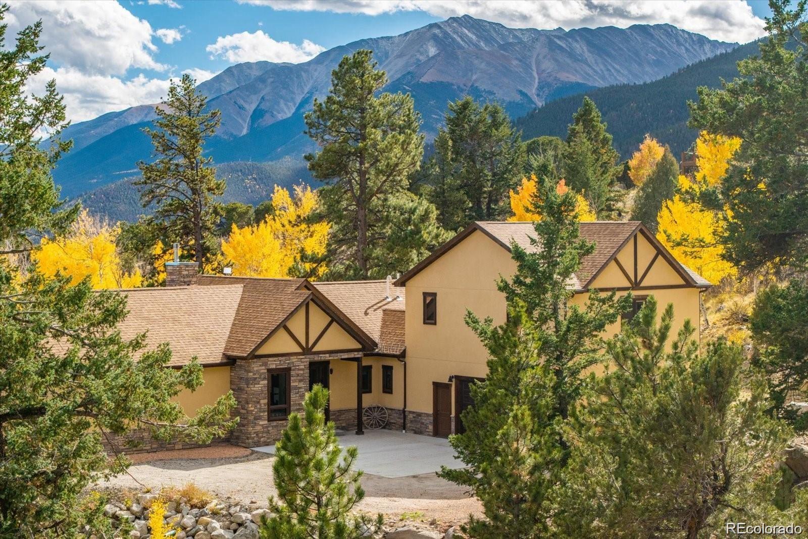 30009 Creek Run Buena Vista CO 81211