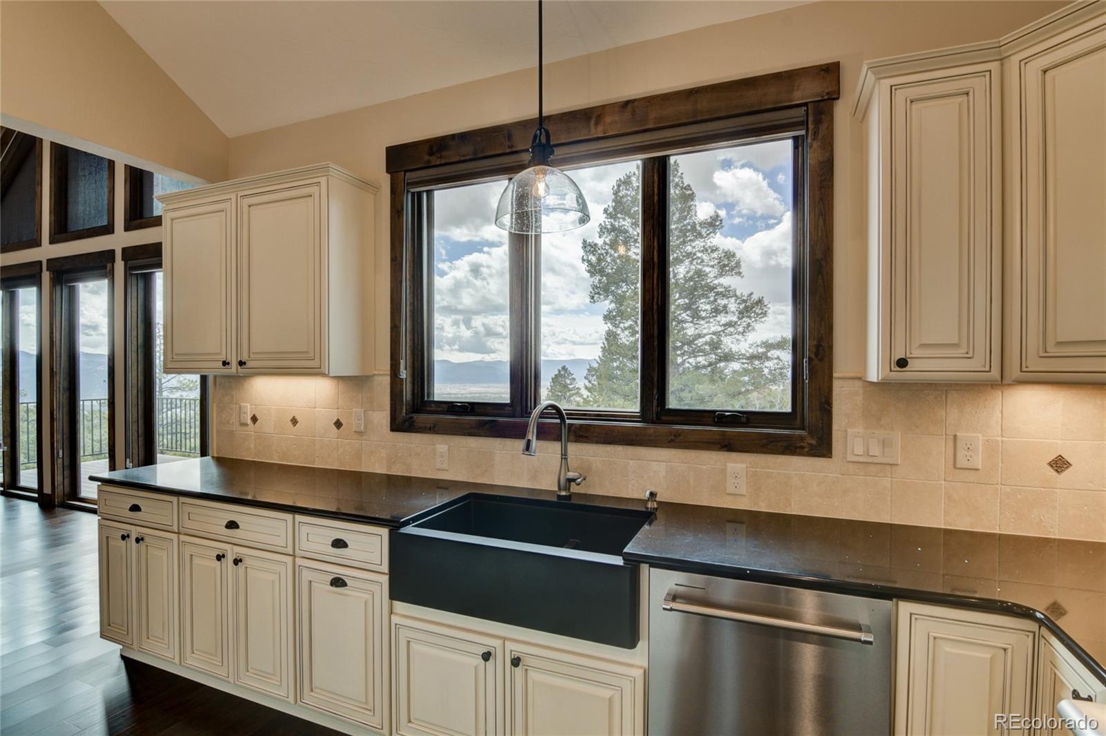 30009 Creek Run Buena Vista CO 81211