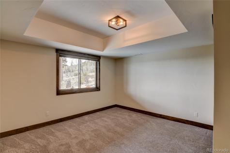 30009 Creek Run Buena Vista CO 81211