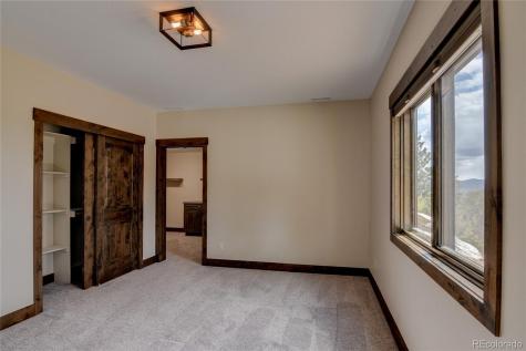 30009 Creek Run Buena Vista CO 81211