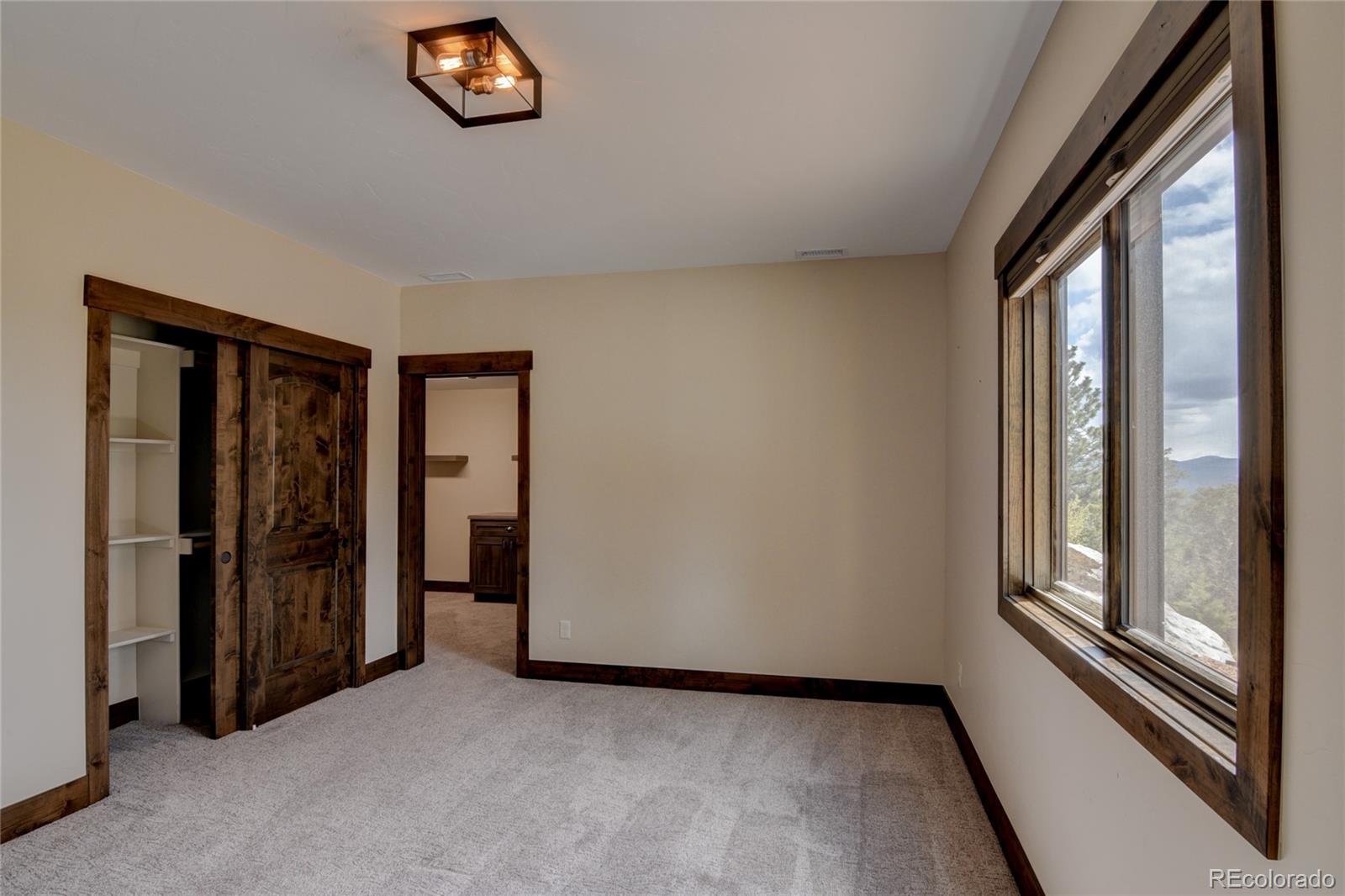 30009 Creek Run Buena Vista CO 81211