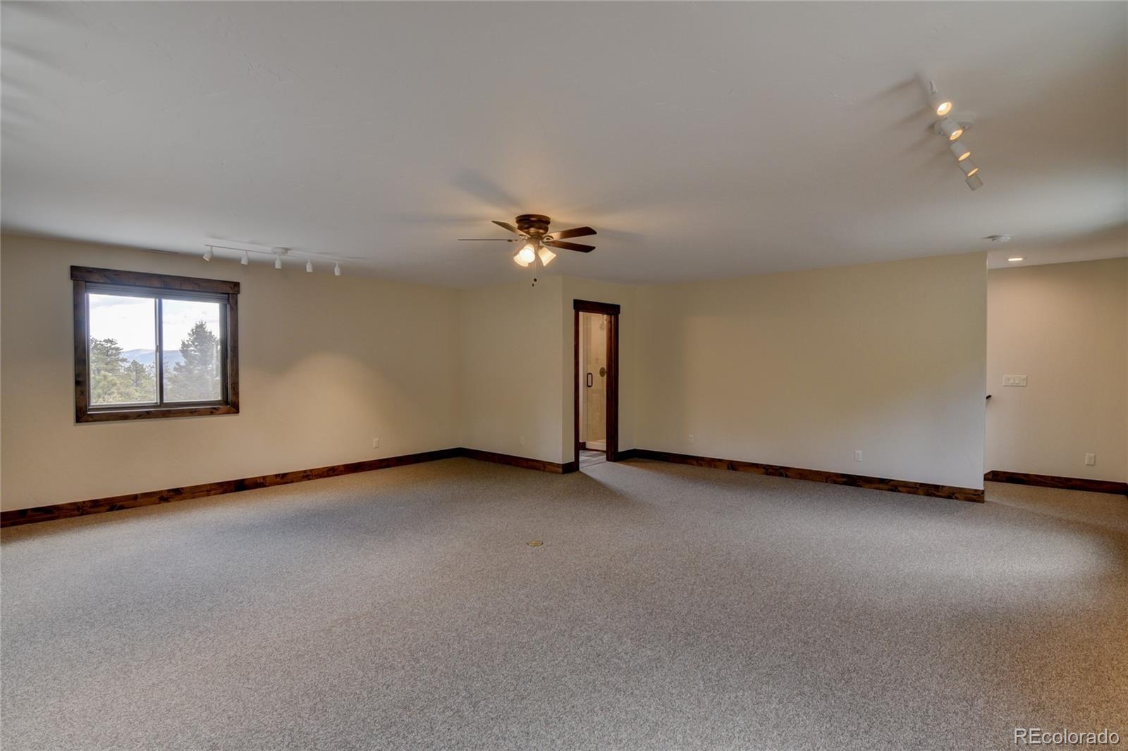 30009 Creek Run Buena Vista CO 81211