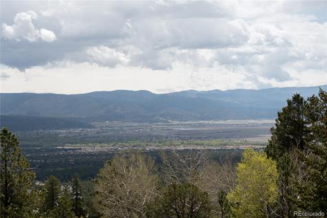 30009 Creek Run Buena Vista CO 81211