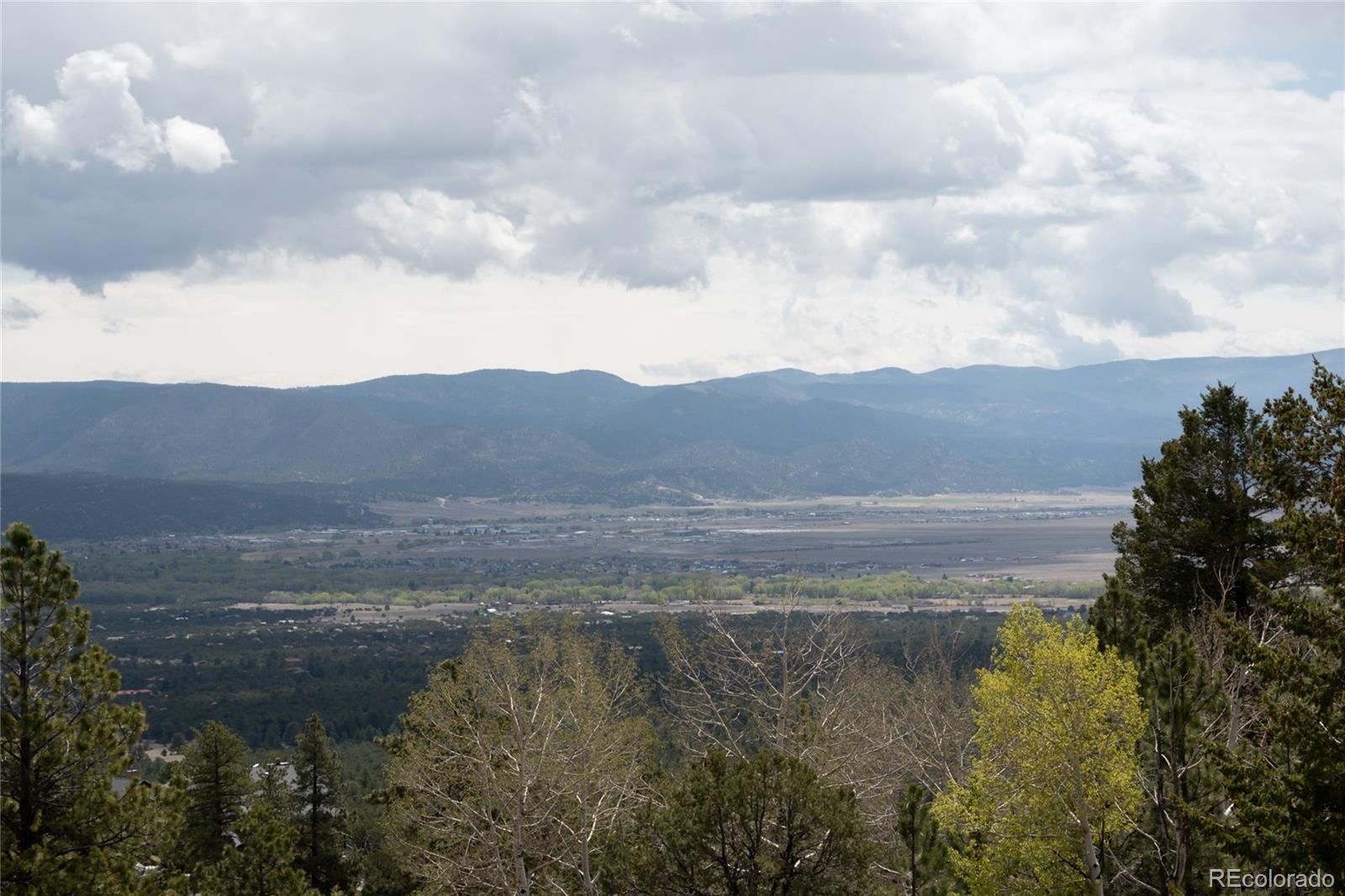 30009 Creek Run Buena Vista CO 81211