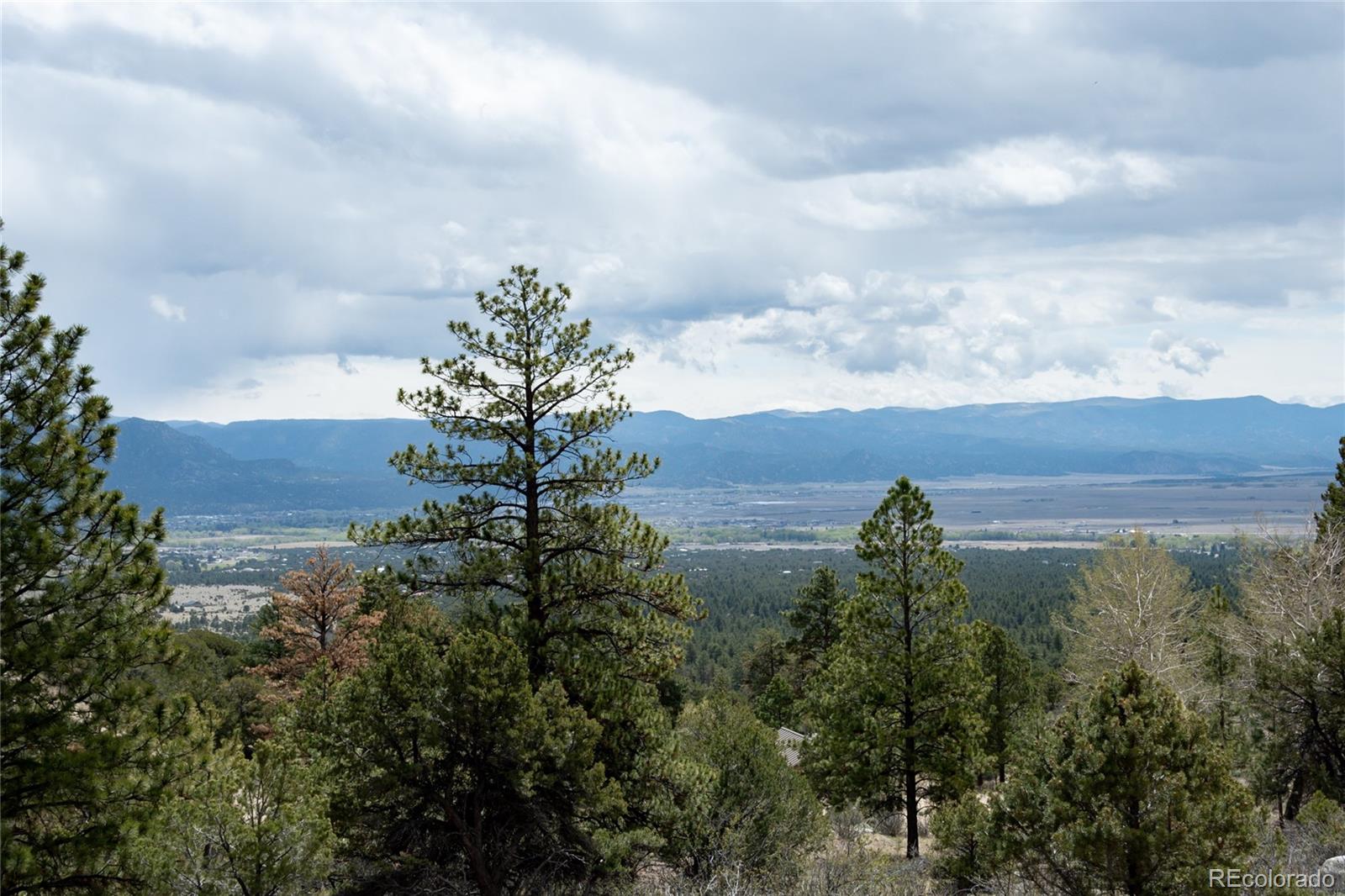 30009 Creek Run Buena Vista CO 81211