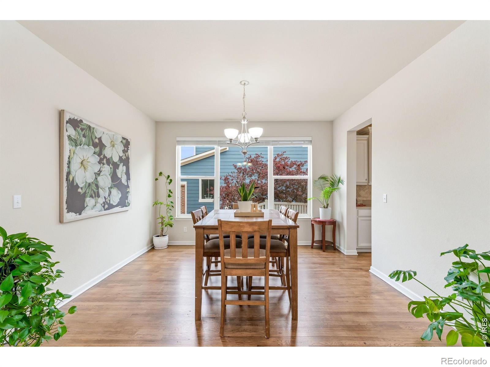 1645 Dorothy Circle Longmont CO 80503