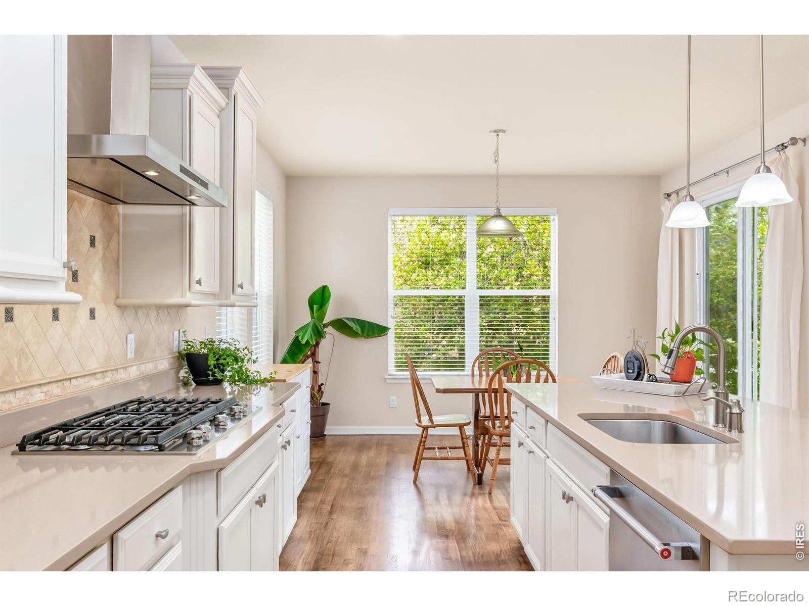 1645 Dorothy Circle Longmont CO 80503