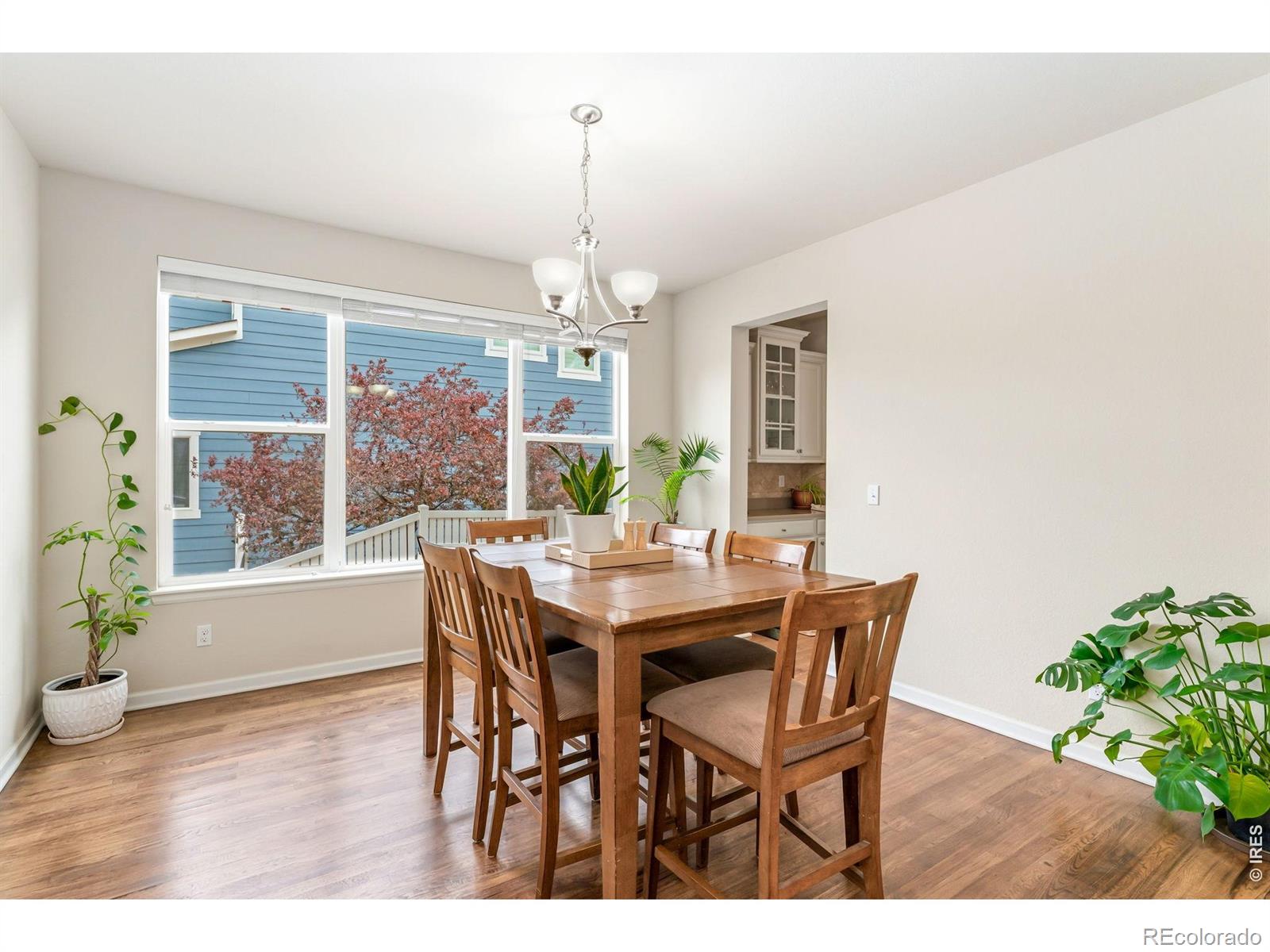 1645 Dorothy Circle Longmont CO 80503