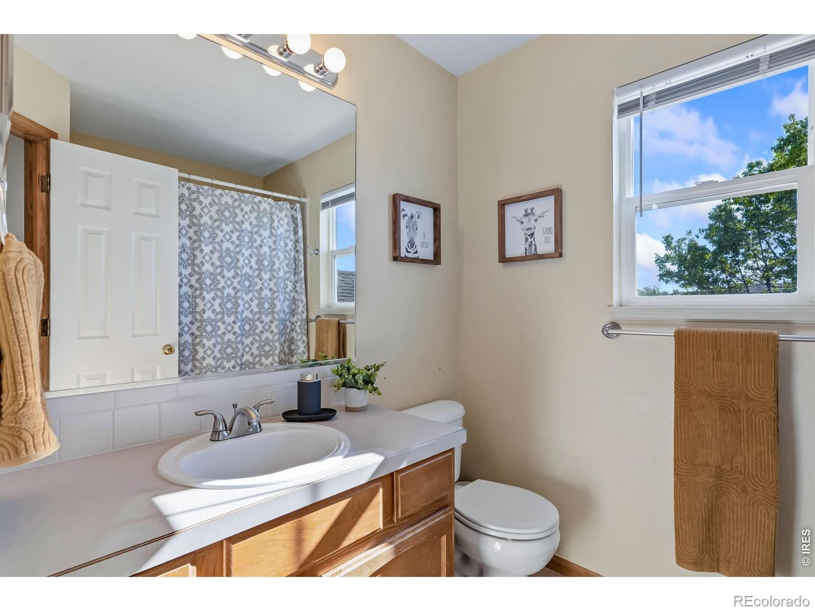 3450 Adams Court Wellington CO 80549