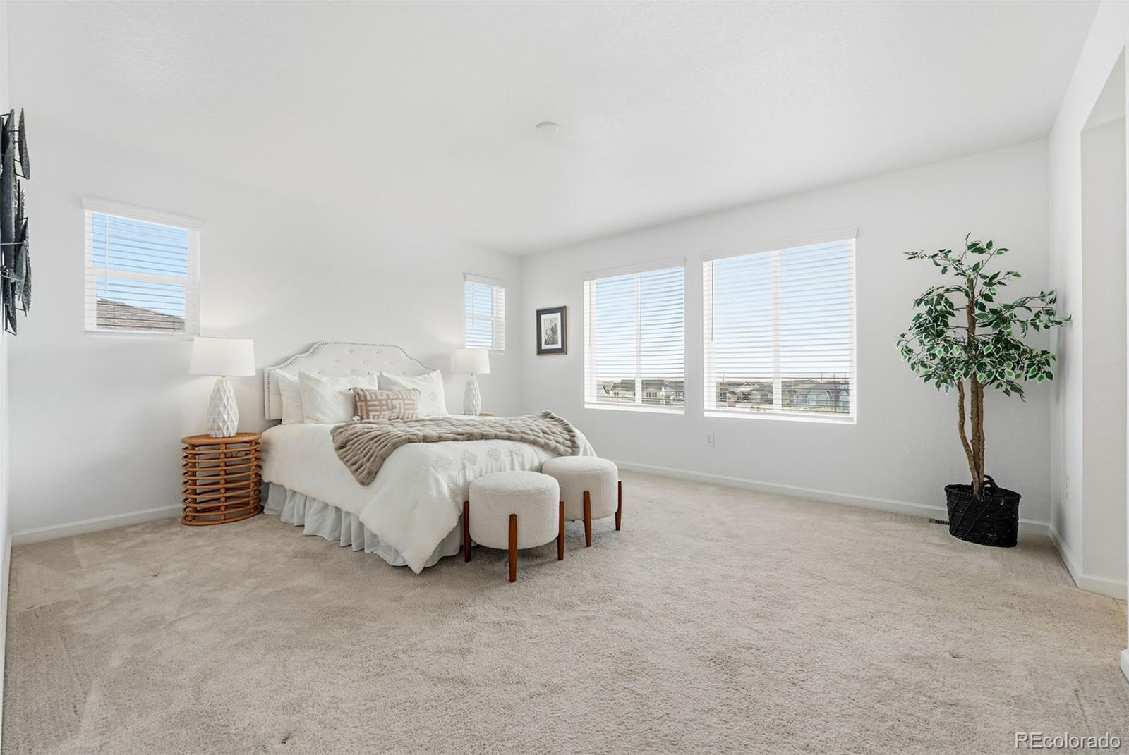 6552 Steuben Way Castle Pines CO 80108