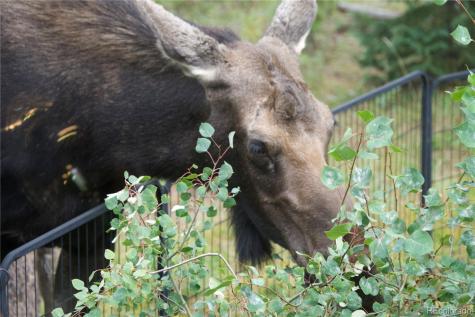 113 GCR 4948 Grand Lake CO 80447