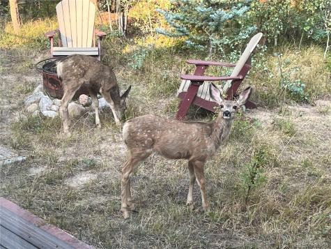 113 GCR 4948 Grand Lake CO 80447