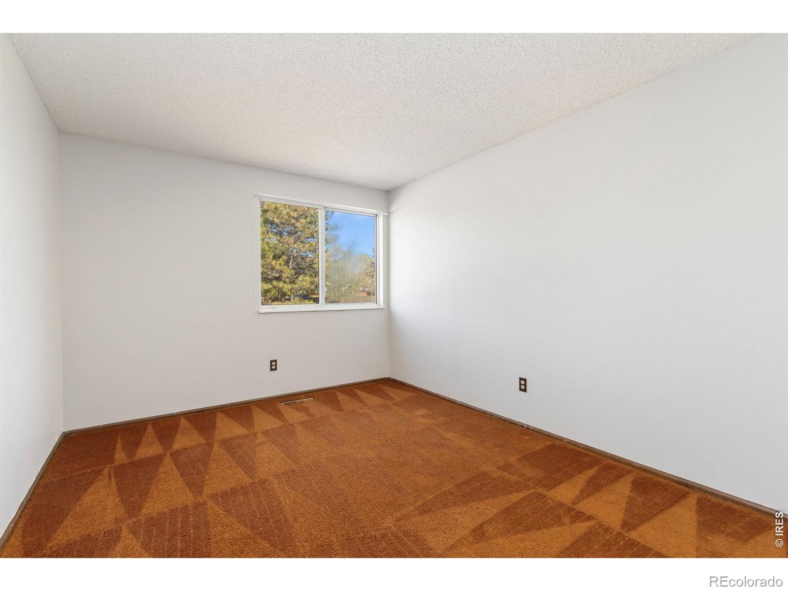 3967 Ash Avenue Loveland CO 80538