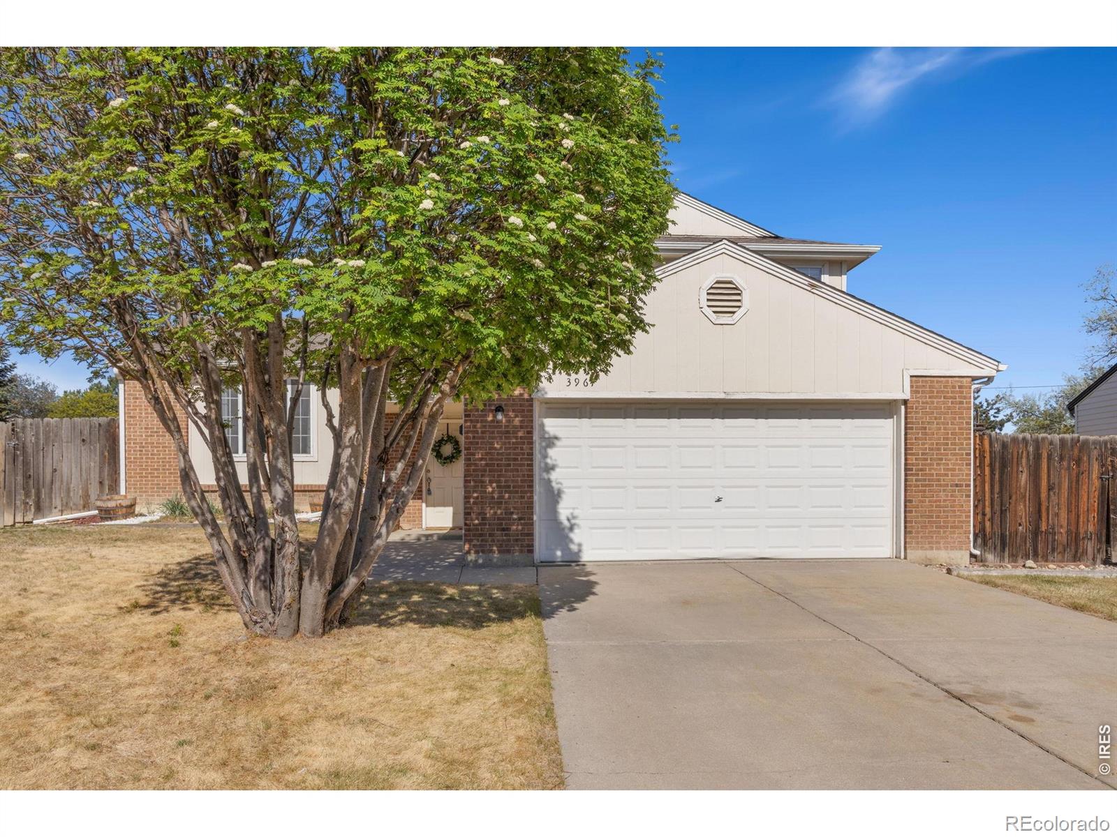 3967 Ash Avenue Loveland CO 80538