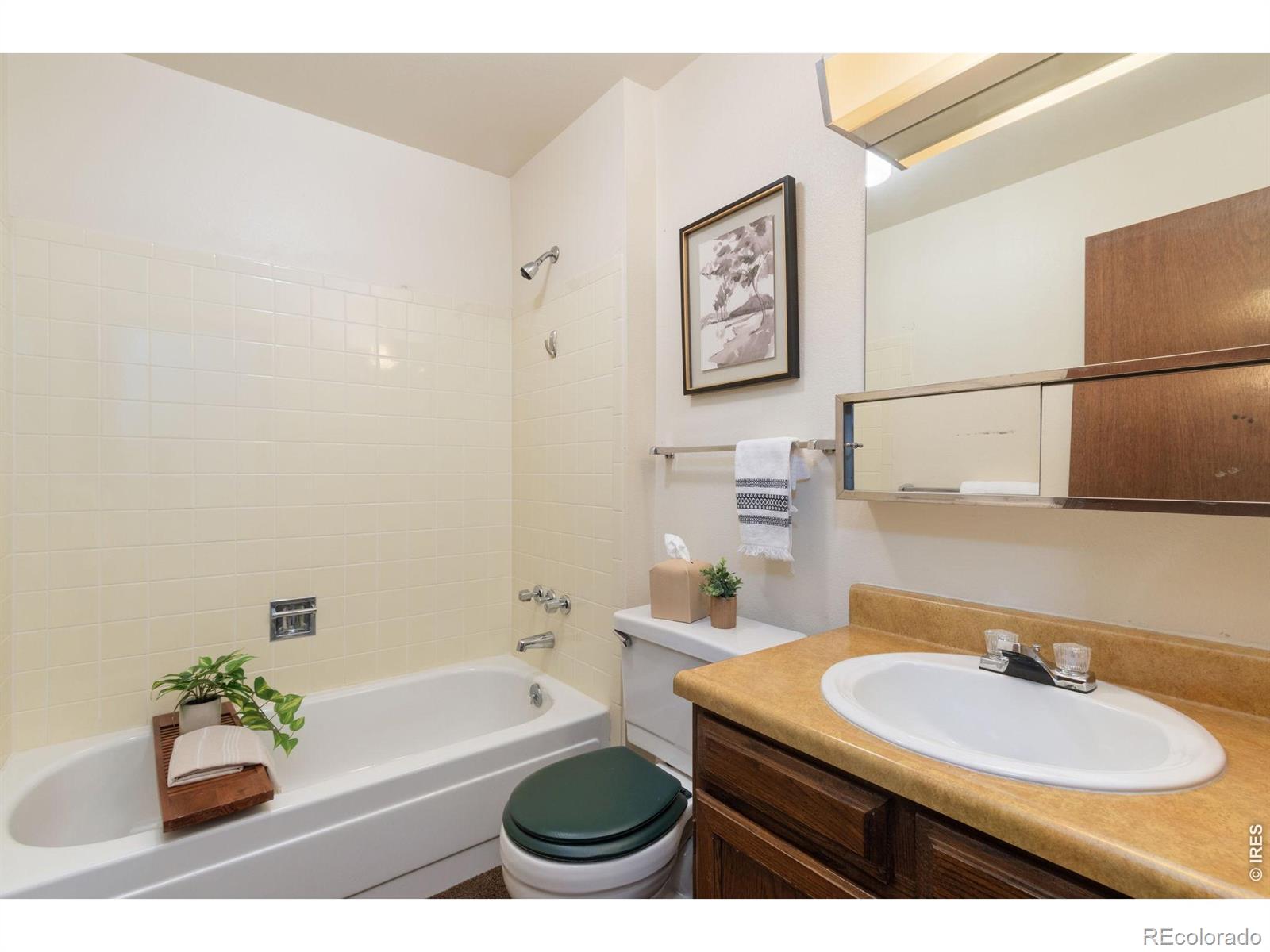3967 Ash Avenue Loveland CO 80538