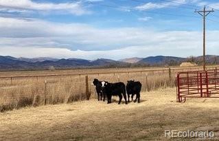 14798 N 115th Street Longmont CO 80504